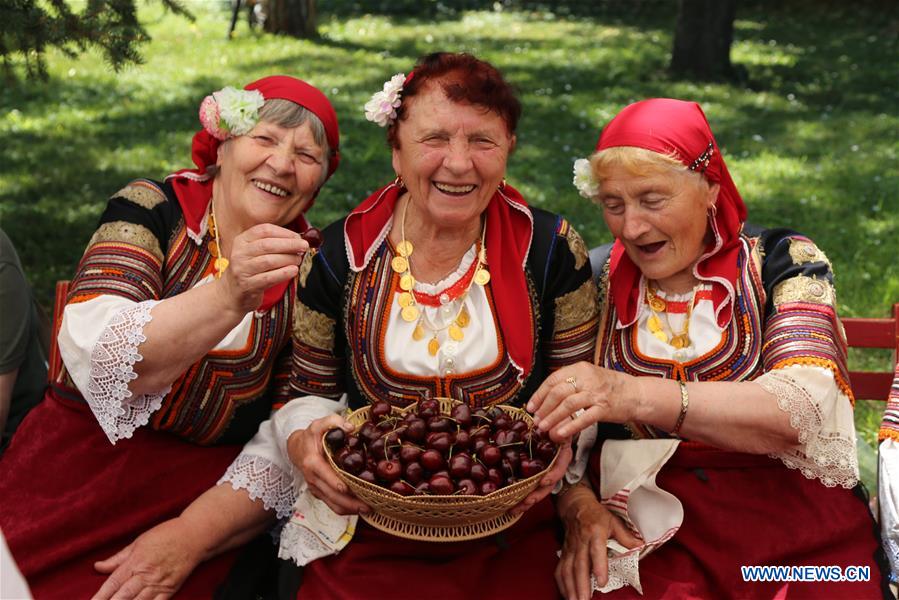 BULGARIA-KYUSTENDIL-CHERRY FESTIVAL