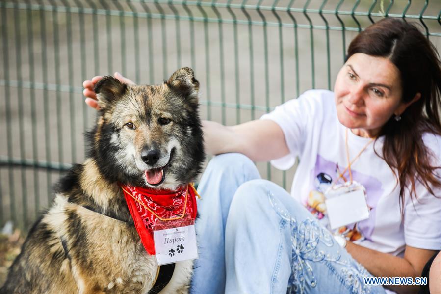 RUSSIA-MOSCOW-DAY OF FRIENDS-DOGS-CHARITY