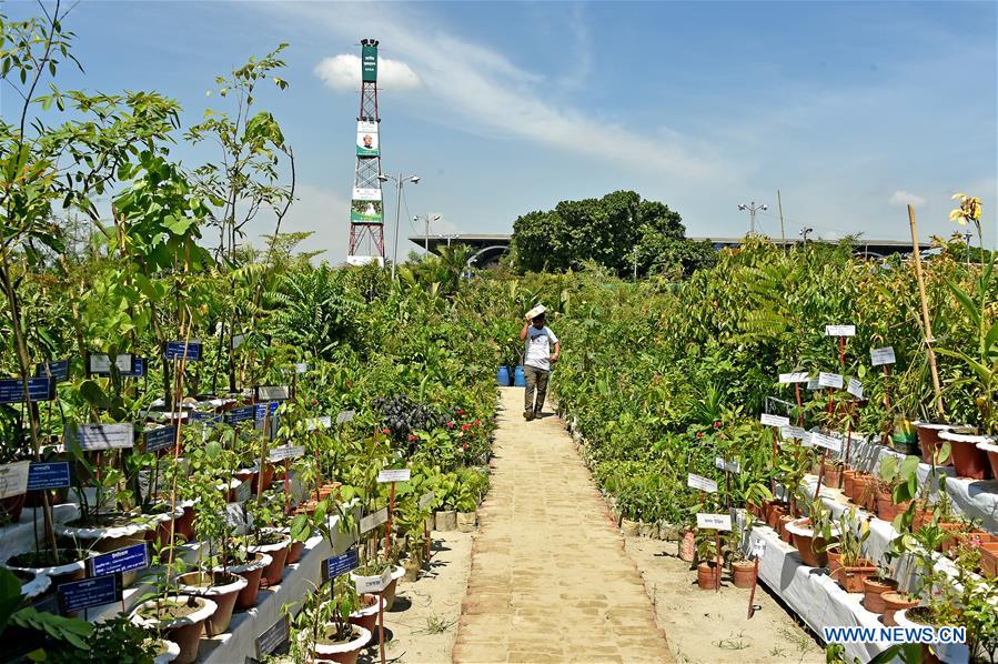 BANGLADESH-DHAKA-TREE PLANTATION CAMPAIGN
