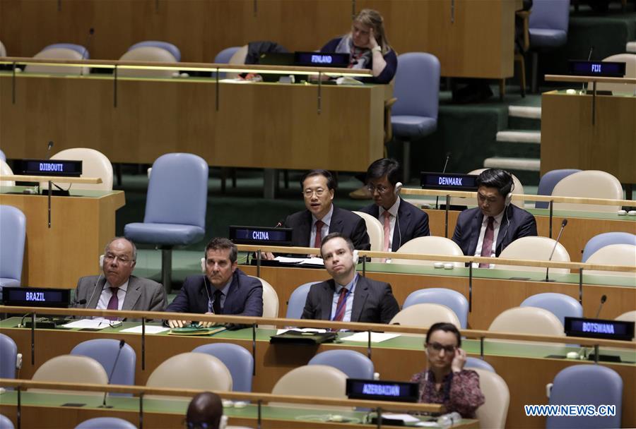 UN-GENERAL ASSEMBLY-SECURITY COUNCIL REFORM-CHINA