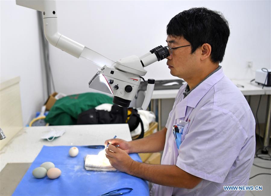 CHINA-NANCHANG-SURGEON-SKILL DEMONSTRATION (CN)