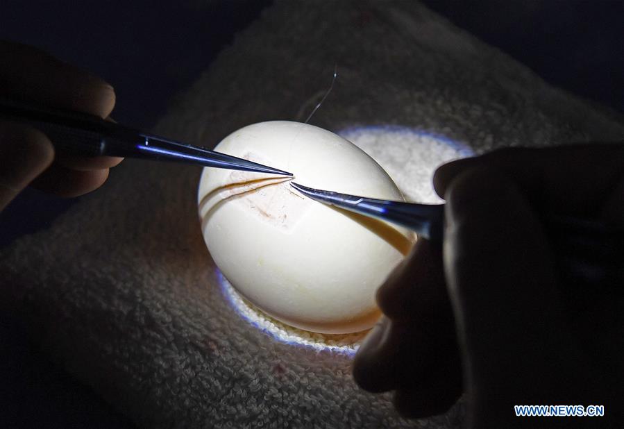 CHINA-NANCHANG-SURGEON-SKILL DEMONSTRATION (CN)