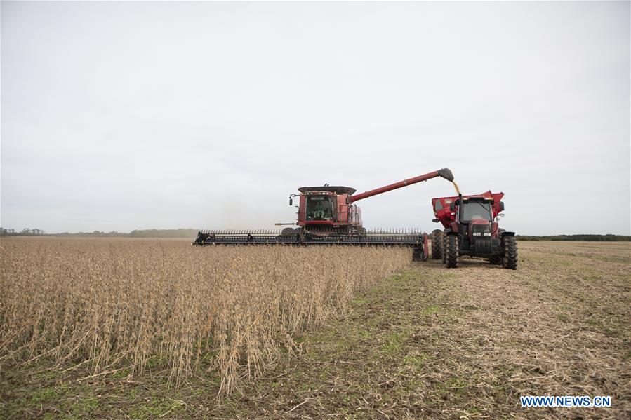 Xinhua Headlines: "Butterfly effect" of U.S. trade bullying far-reaching