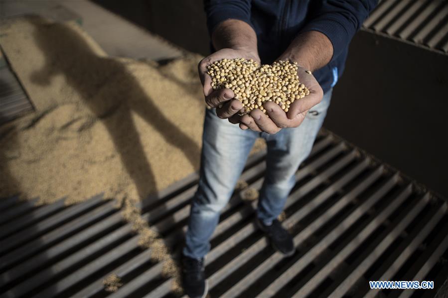 Xinhua Headlines: "Butterfly effect" of U.S. trade bullying far-reaching