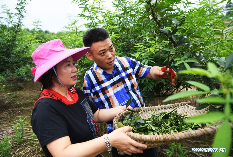 CHINA-CHONGQING-NANCHUAN-DISABLED FARMER (CN)