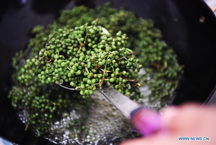 CHINA-CHONGQING-NANCHUAN-DISABLED FARMER (CN)