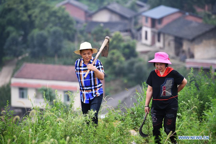 CHINA-CHONGQING-NANCHUAN-DISABLED FARMER (CN)