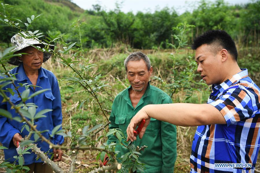 CHINA-CHONGQING-NANCHUAN-DISABLED FARMER (CN)