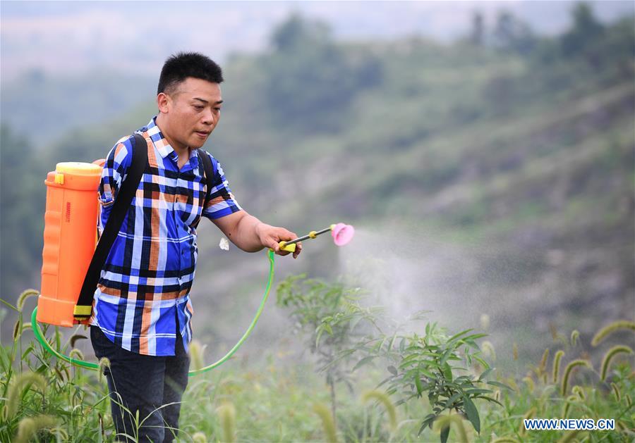 CHINA-CHONGQING-NANCHUAN-DISABLED FARMER (CN)