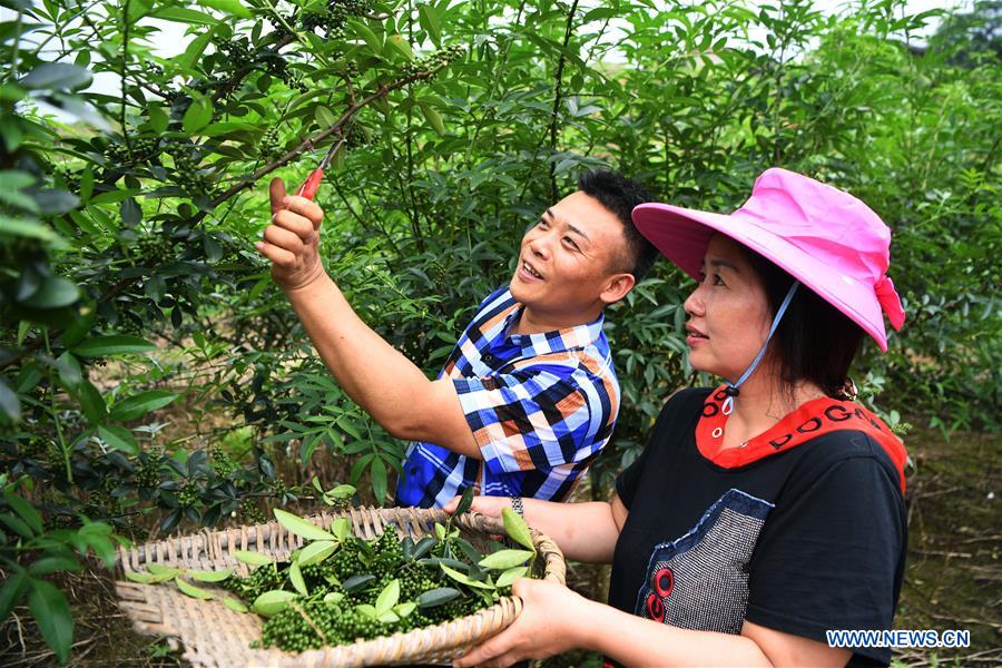CHINA-CHONGQING-NANCHUAN-DISABLED FARMER (CN)
