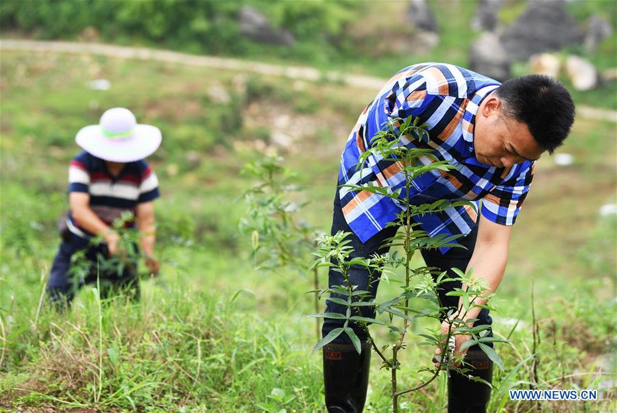 CHINA-CHONGQING-NANCHUAN-DISABLED FARMER (CN)