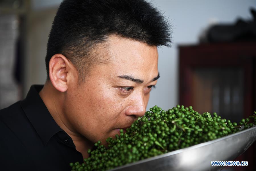 CHINA-CHONGQING-NANCHUAN-DISABLED FARMER (CN)