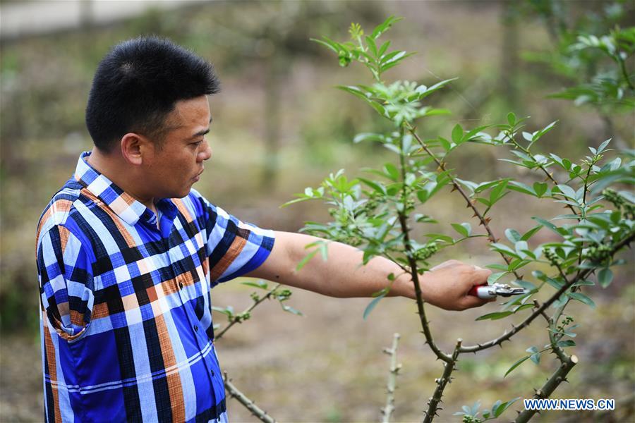 CHINA-CHONGQING-NANCHUAN-DISABLED FARMER (CN)