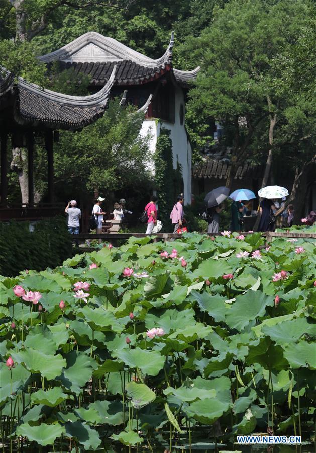 #CHINA-JIANGSU-SUZHOU-LOTUS FLOWERS (CN)