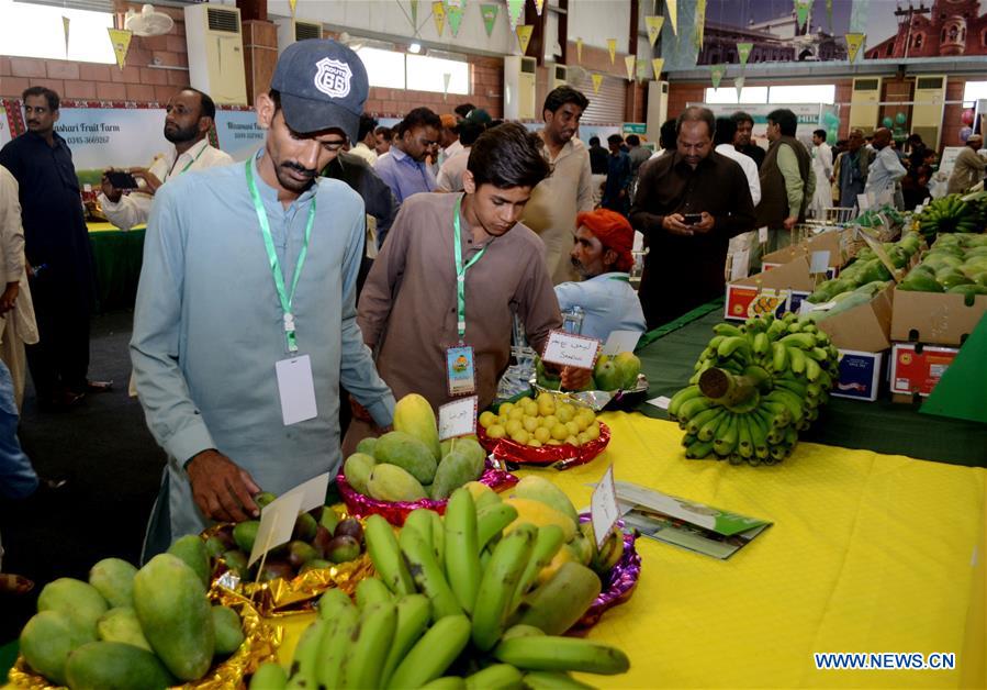 Mango festival kicks off in Hyderabad, Pakistan Xinhua English.news.cn