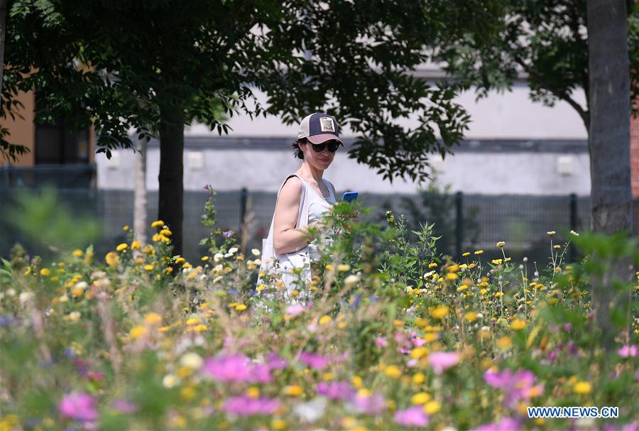 ITALY-MILAN-HEATWAVE