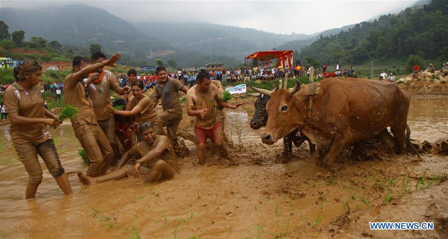NEPAL-DHADING-NATIONAL PADDY DAY FESTIVAL