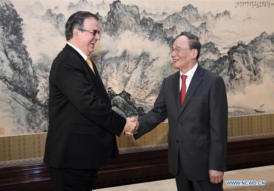 CHINA-BEIJING-WANG QISHAN-MEXICAN FM-MEETING (CN)