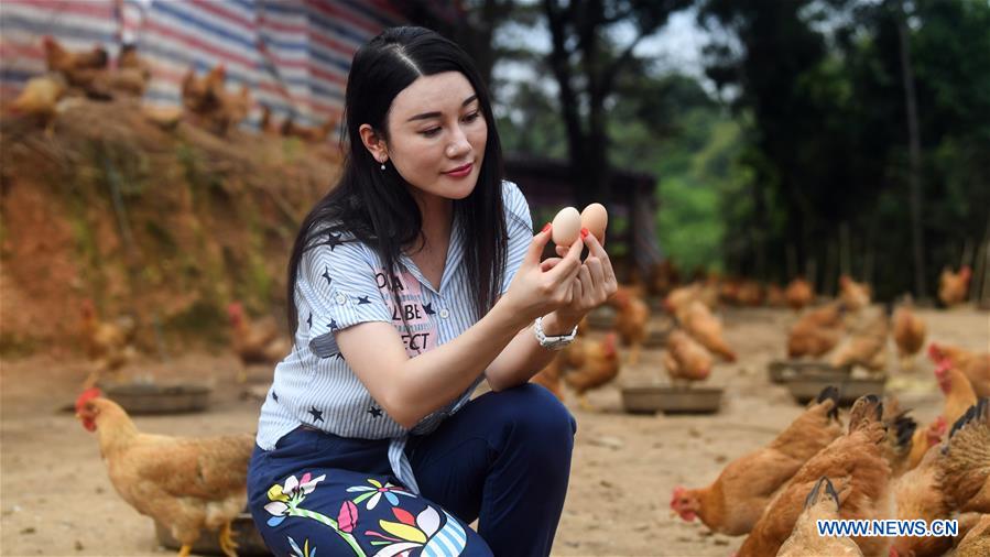 CHINA-GUANGXI-CHICKEN INDUSTRY-POVERTY ALLEVIATION (CN)