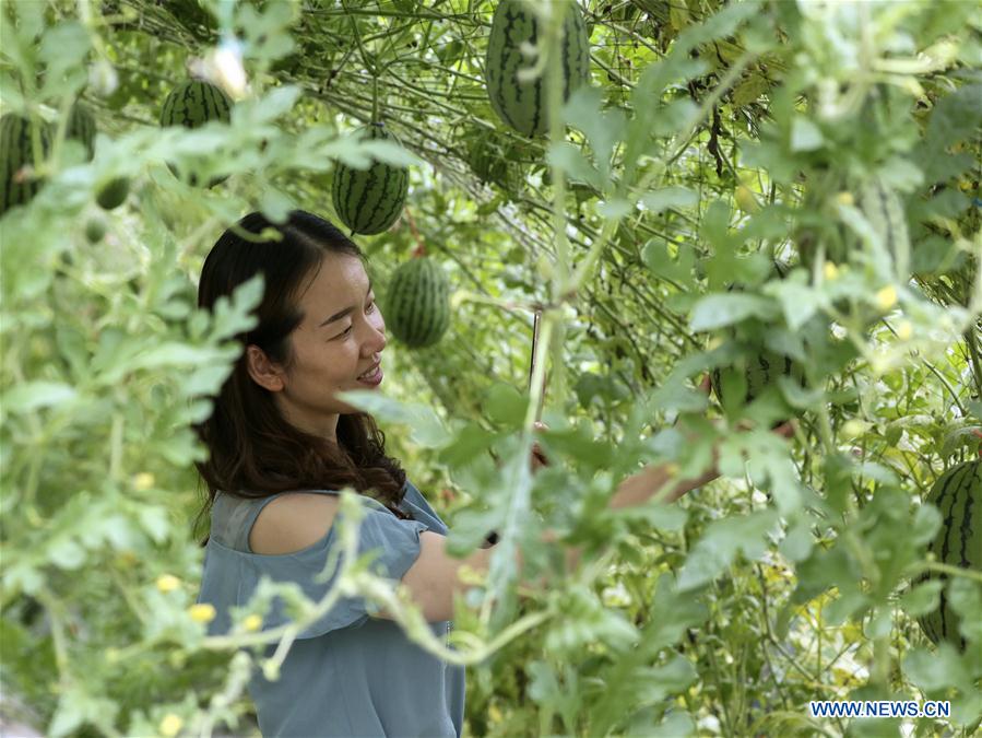 CHINA-ZHEJIANG-DEQING-MODERN FARM (CN)