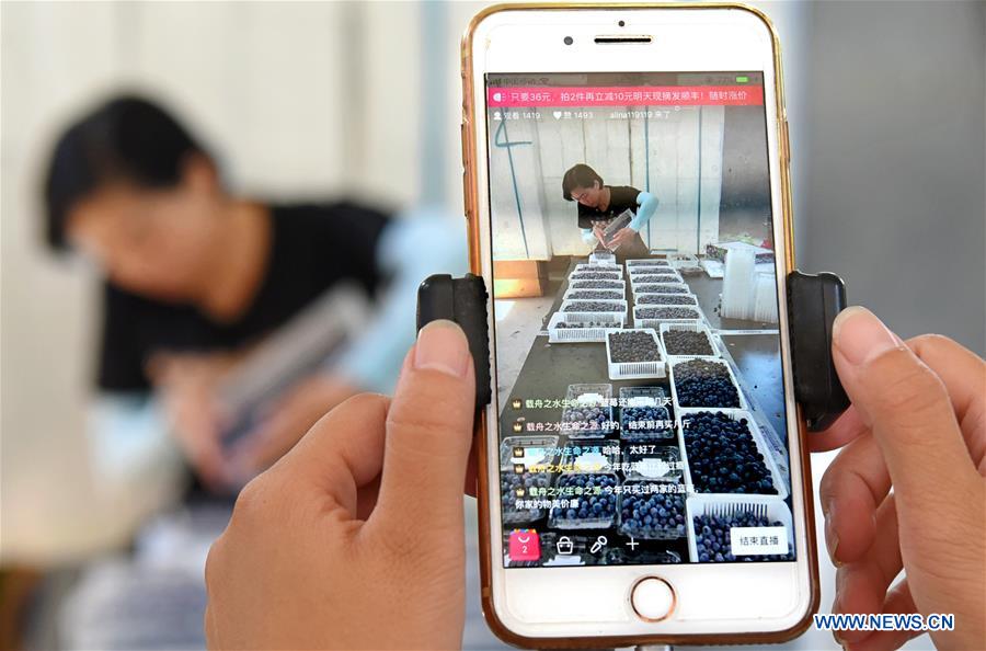 #CHINA-SHANDONG-ZIBO-BLUEBERRY COUPLE (CN)