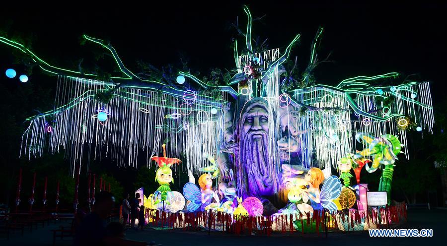 CHINA-CHANGCHUN-LANTERN SHOW(CN)