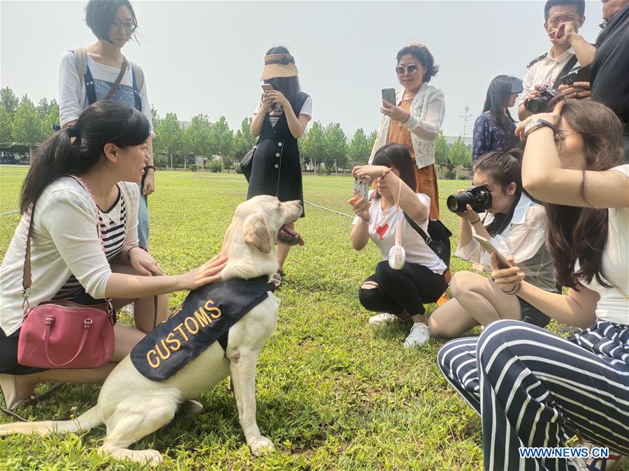 (BeijingCandid)CHINA-BEIJING-DETECTOR DOG (CN)