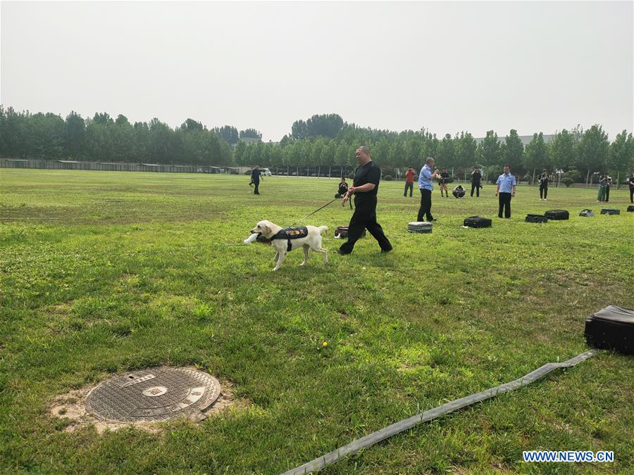 (BeijingCandid)CHINA-BEIJING-DETECTOR DOG (CN)