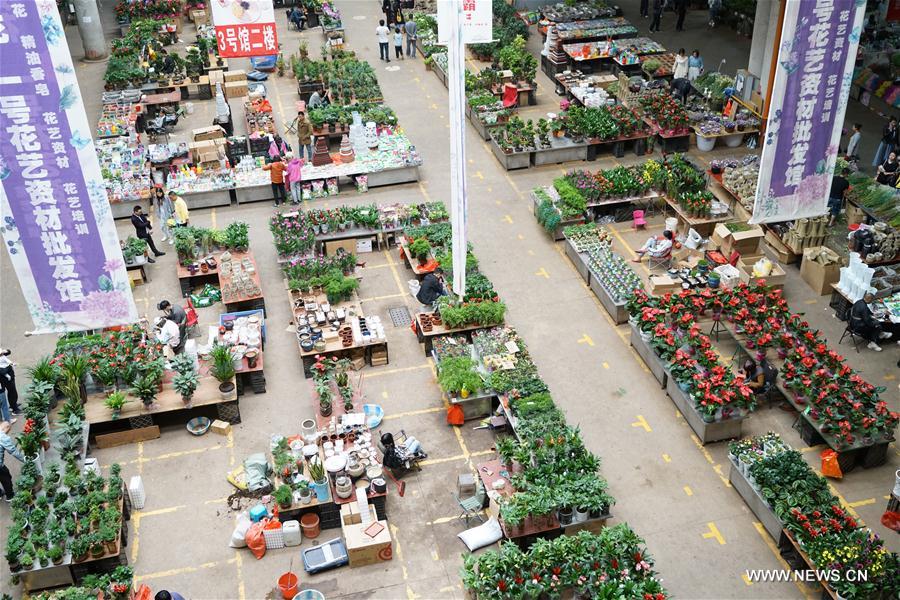 CHINA-KUNMING-INTERNATIONAL FLOWER EXPO (CN)