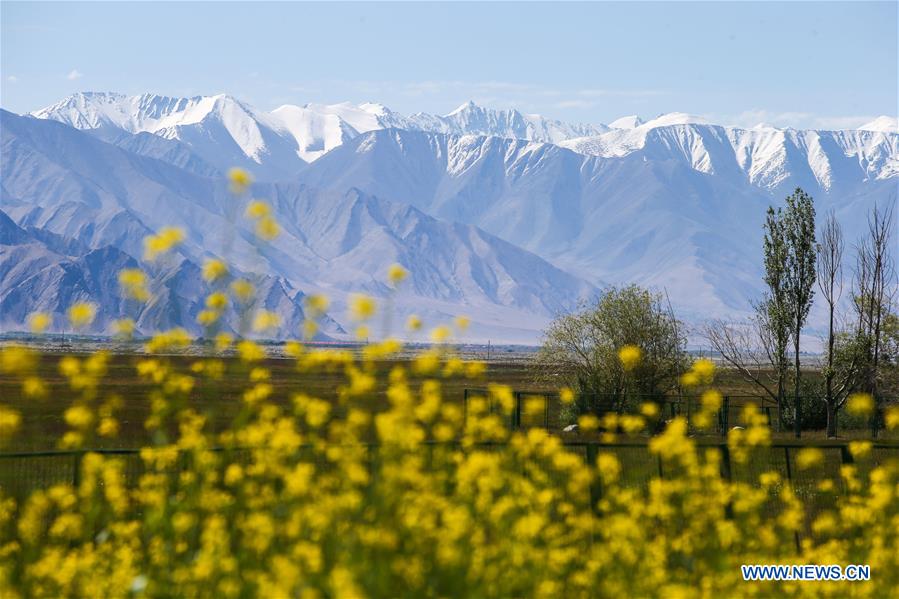 CHINA-XINJIANG-TAXKORGAN-SUMMER-SCENERY (CN)