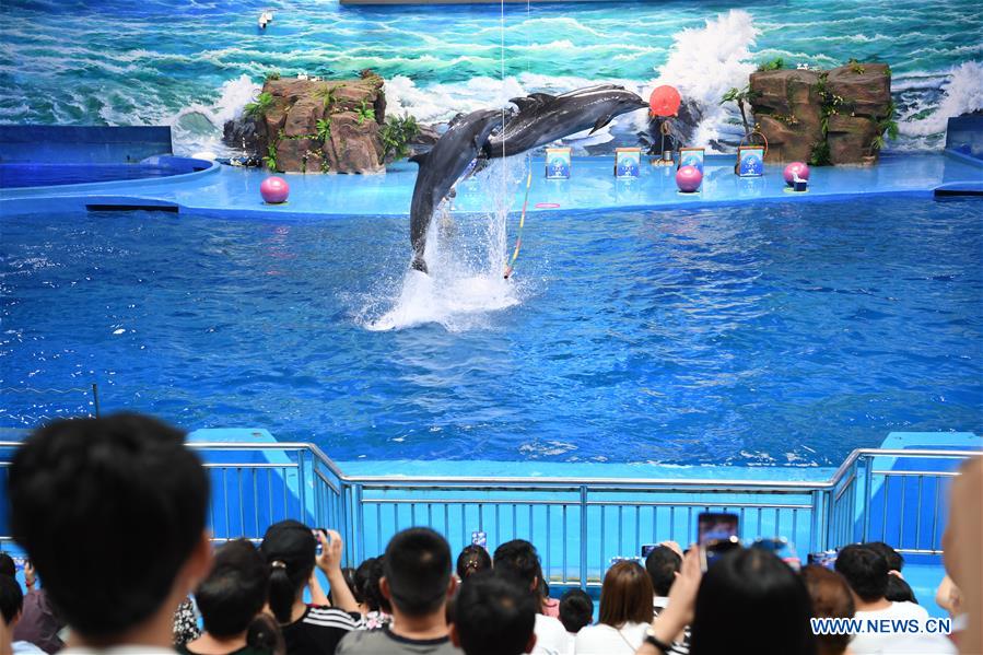 #CHINA-GUIZHOU-GUIYANG-SEAWORLD (CN)