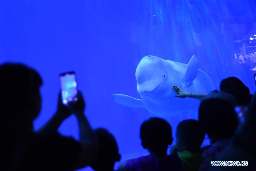 #CHINA-GUIZHOU-GUIYANG-SEAWORLD (CN)