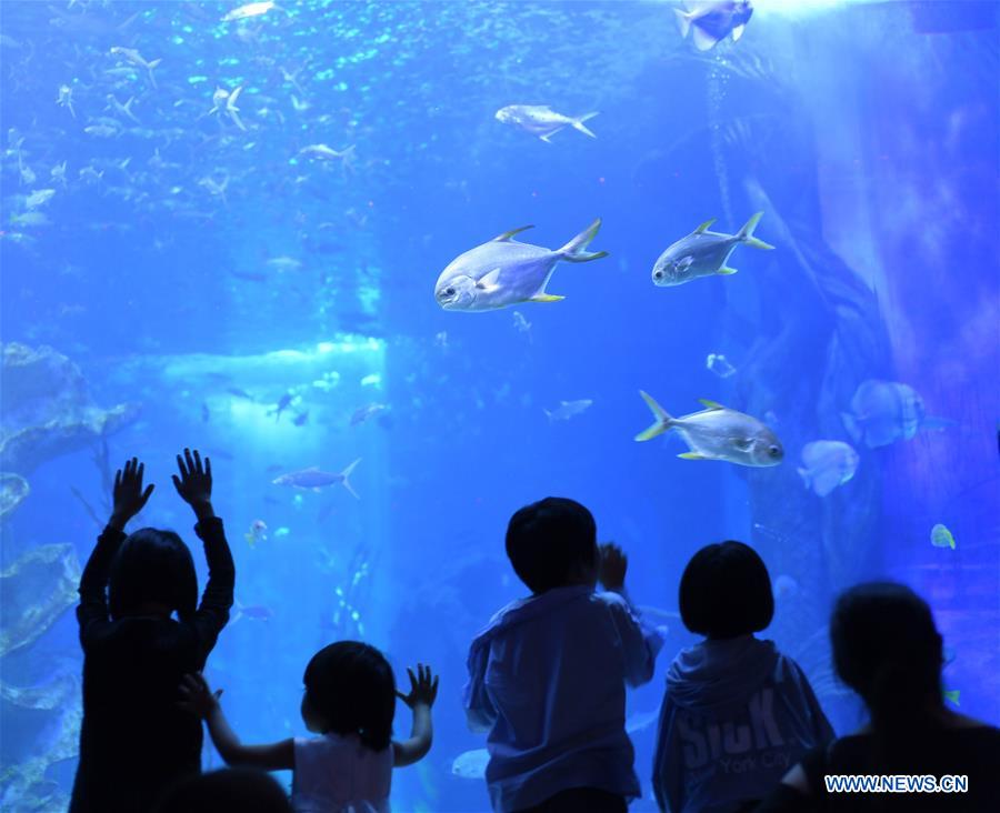 #CHINA-GUIZHOU-GUIYANG-SEAWORLD (CN)