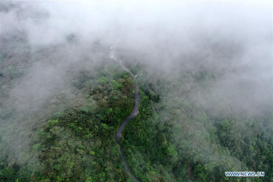 CHINA-GUANGXI-RED TOURISM-BOOM (CN)