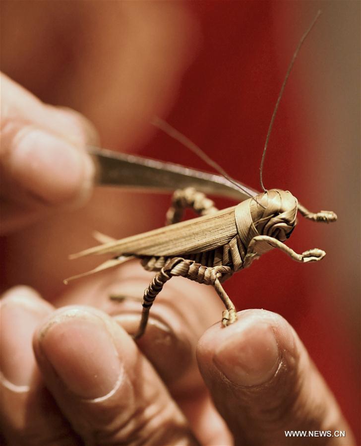 #CHINA-HEBEI-SHIJIAZHUANG-STRAW HANDICRAFTS (CN)