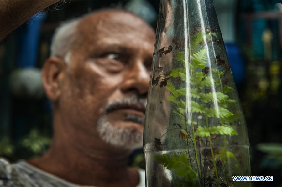INDIA-KOLKATA-GARDEN-REUSED WASTE