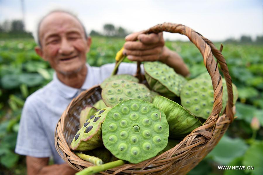CHINA-ANHUI-SPACE LOTUS (CN)