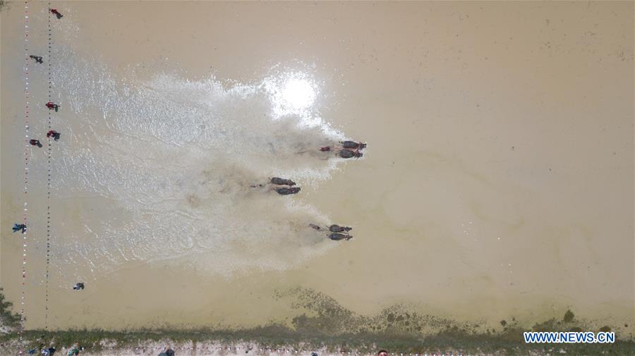 THAILAND-BANGKOK-BUFFALO RACE