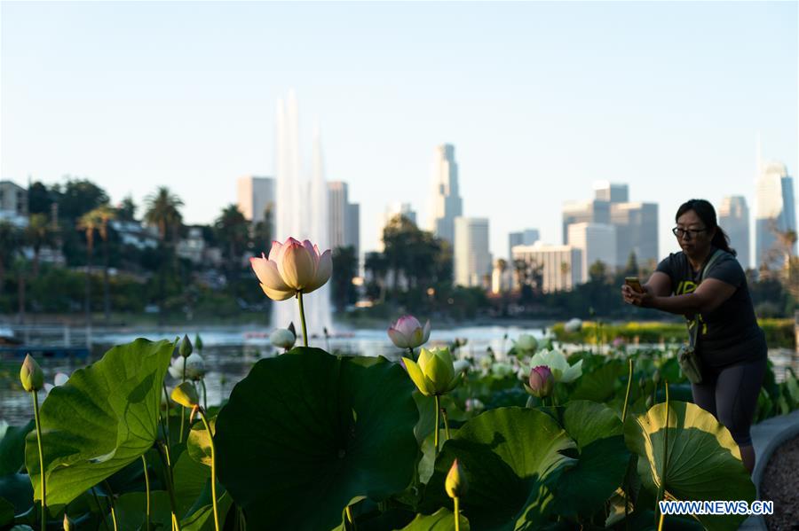 U.S.- LOS ANGELES-LOTUS FESTIVAL
