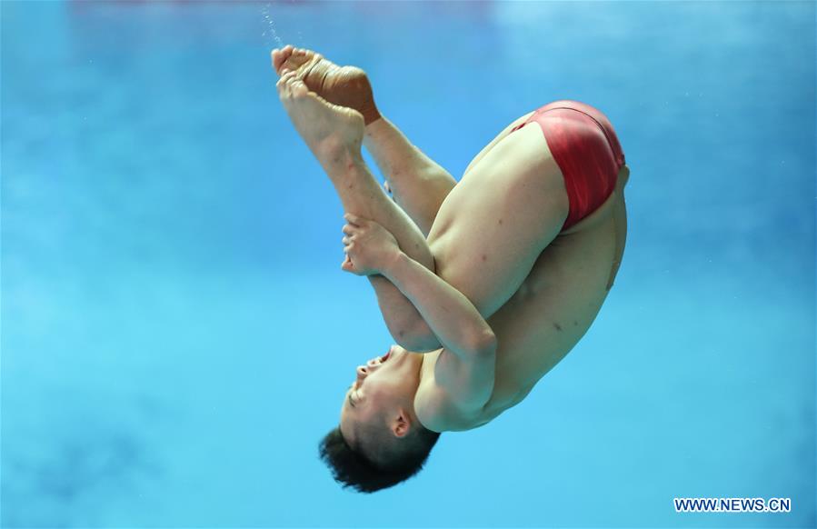 (SP)SOUTH KOREA-GWANGJU-FINA WORLD CHAMPIONSHIPS-DIVING-MEN'S 1M SPRINGBOARD