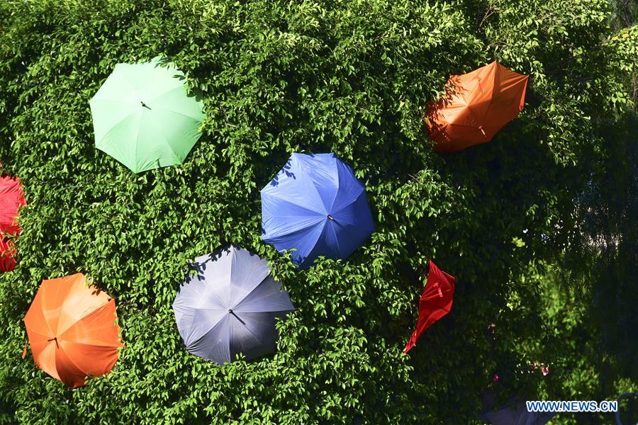MALTA-ZABBAR-UMBRELLAS