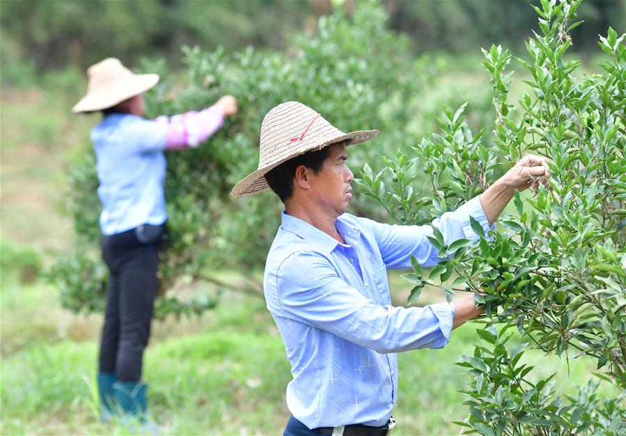 CHINA-GUANGXI-RONGAN-FLOODS-RECONSTRUCTION (CN)