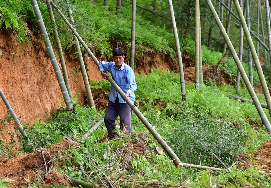 CHINA-GUANGXI-RONGAN-FLOODS-RECONSTRUCTION (CN)