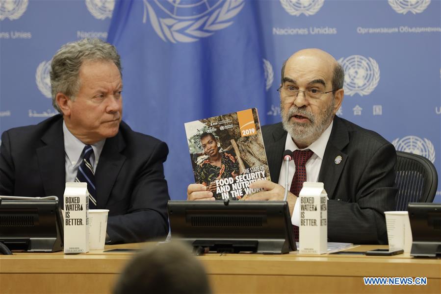 UN-FAO-REPORT-FOOD SECURITY-NUTRITION-PRESS BRIEFING
