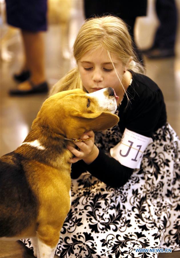 42nd Annual Houston World Series of Dog Shows held in U.S. Xinhua
