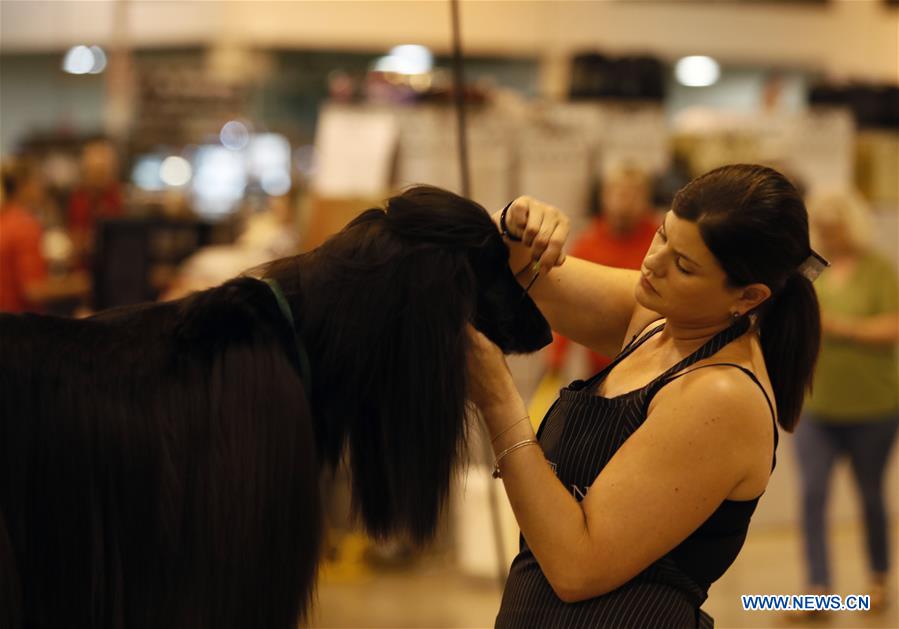 42nd Annual Houston World Series of Dog Shows held in U.S. Xinhua
