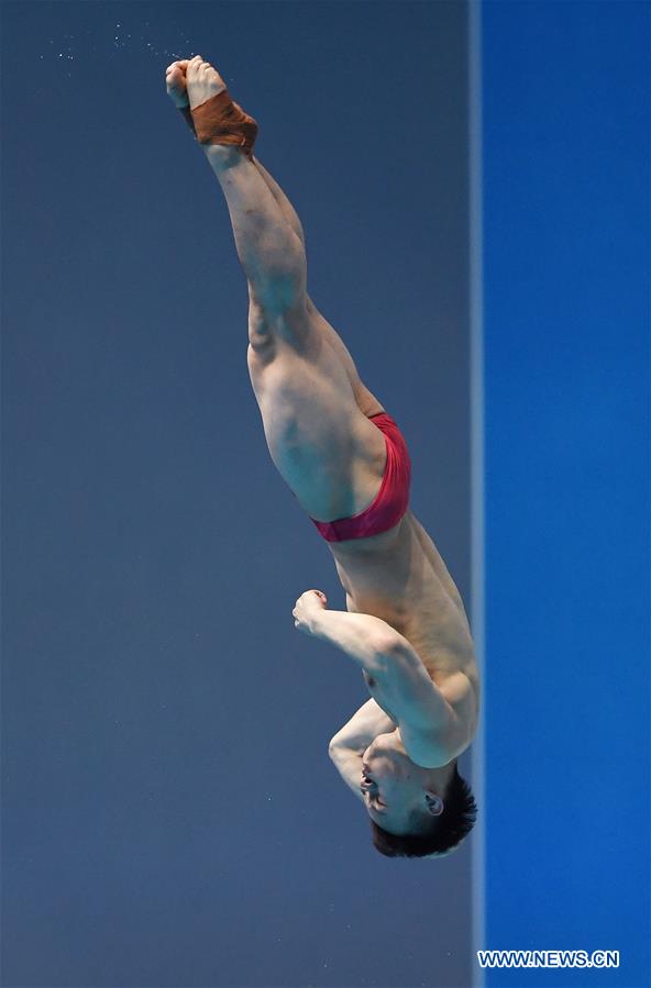 (SP)SOUTH KOREA-GWANGJU-FINA WORLD CHAMPIONSHIPS-DIVING