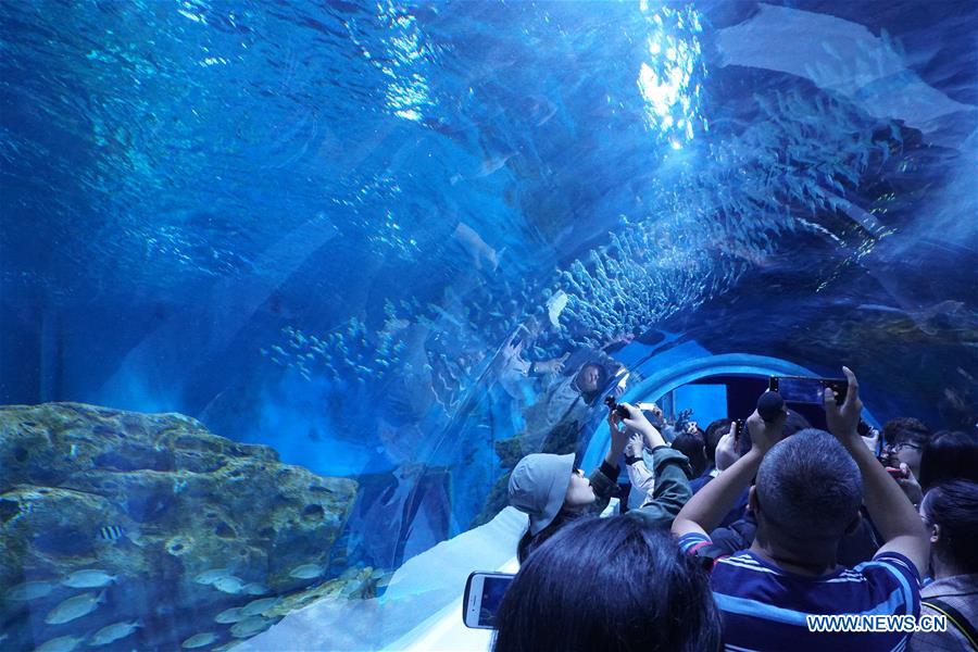 CHINA-QINGHAI-XINING-AQUARIUM (CN)