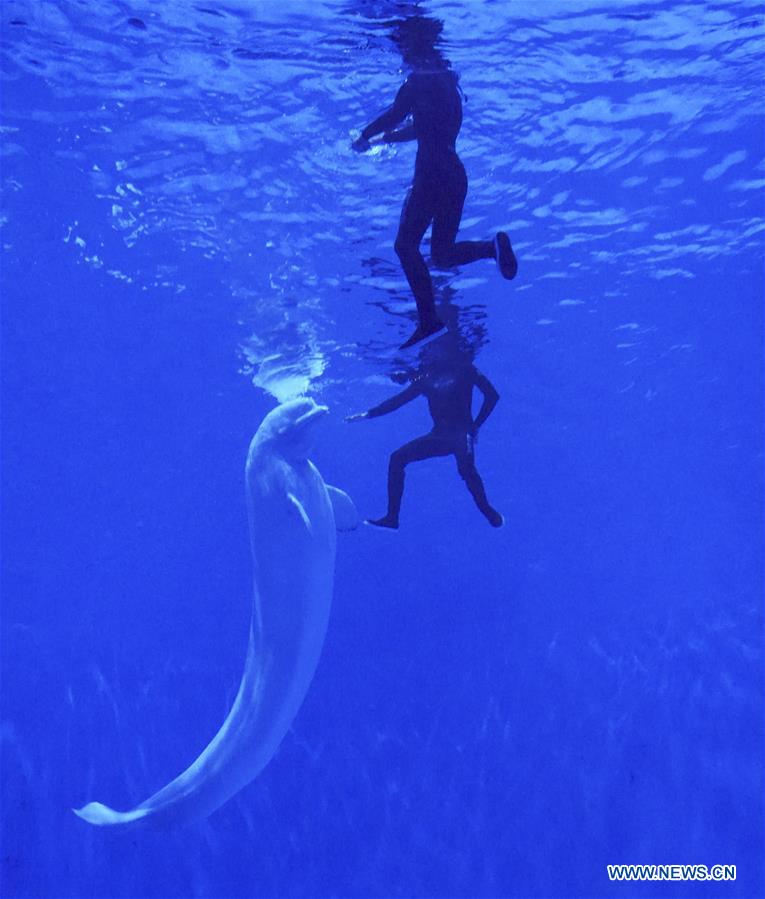 CHINA-QINGHAI-XINING-AQUARIUM (CN)