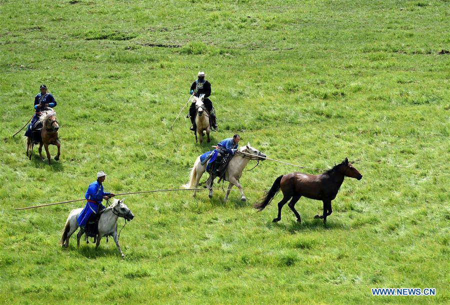 CHINA-INNER MONGOLIA-HORSES (CN)